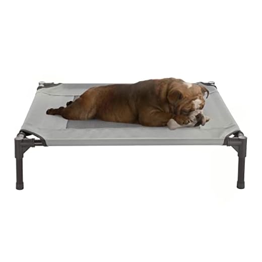 Elevated Dog Bed - 30x24-Inch Portable Pet Bed with Non-Slip Feet - Indoor/Outdoor Dog Bed or Puppy Cot for Pets up to 50lbs by PETMAKER (Gray)