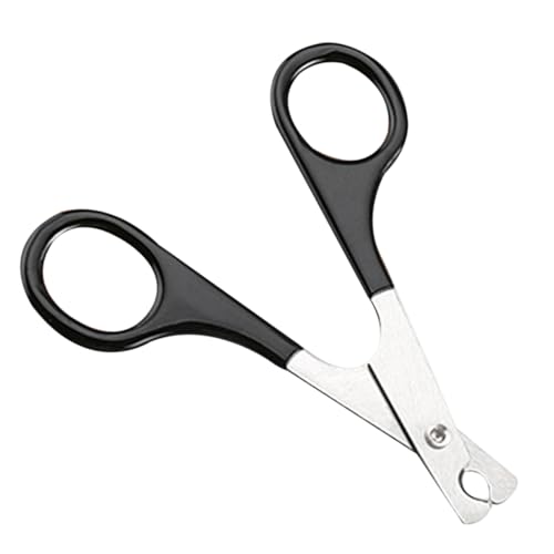 Gatuida s sNbV[ Xvb^[͂ su[J[ ^ubgJb^[fBoC_[ sXvb^[ sJb^[ X`[Jb^[ ƒ ߂΂