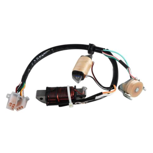 Bobine d'allumage de stator haute conductivité pour T80D Town Mate 1987