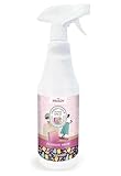 PRADY - Ambientador Home Spray Fashion Shop 700ml - Aroma de Moda para las Fashion Victim del Momento.