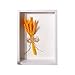 Wnvivi 8 x 10 Inch Shadow Box Dry Flower Frame,3D Wooden Shadow Box Display Case,DIY Crafts Dry Flower Display Frame for Home Holiday Decor-White