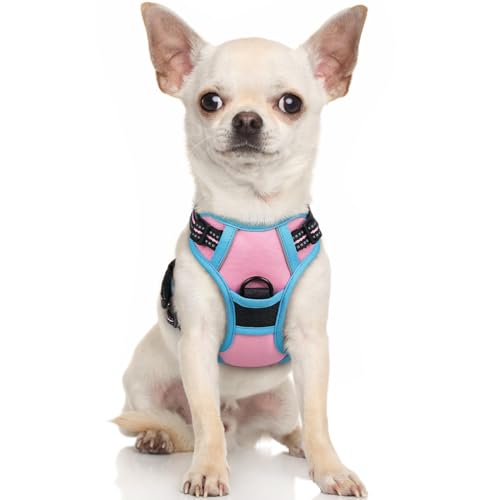 Image of rabbitgoo Dog Harness No Pull with 2 Leash Clips, Adjustable Soft Padded, Reflective Oxford No Choke Pet Vest with Easy Control Handle for Puppy, Pink & Blue, XS