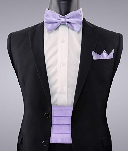Image of Alizeal Mens Multicolored Silk Solid Cummerbund Bow Tie Set