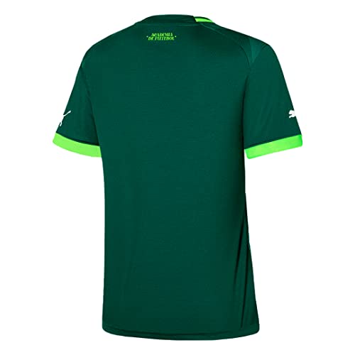 Camisa Puma Palmeiras Torcedor 773435-01 G Verde