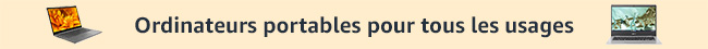 Ordinateurs portables pour tous les usages