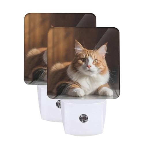 Image of Personalized Custom Night Light Set of 2, DIY Your Own Logo /Photo /Words Auto Sensor LED Dusk-to-Dawn Nightlights, Plug-in Sensor Lamp for Bedroom Bathroom Kitchen Hallway Stairs Decorative