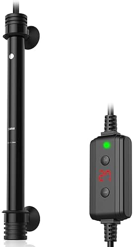 Kannst du ohne Aquarium Heizung Fische halten? 8 Goldenfellnase Bild des Produkts