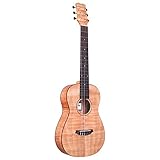 Cordoba (コルドバ) トラベルナイロンギター 全長873mm Mini II FMH 【国内正規品】