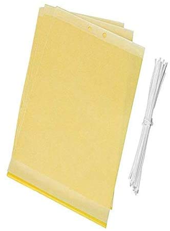 20Pcs Strong Flies Traps Bugs Sticky Board Catching Aphid Insects Pest Killer