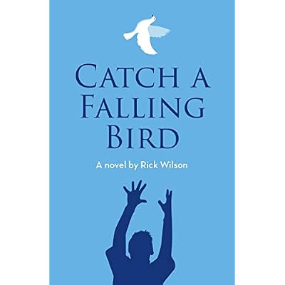 Catch a Falling Bird
