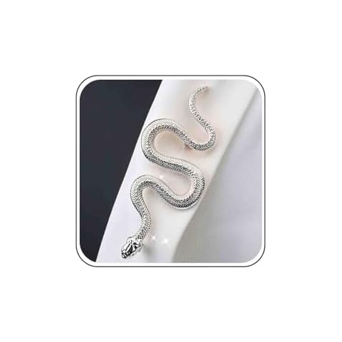 Atentuyi Broche Serpent Argent Cover