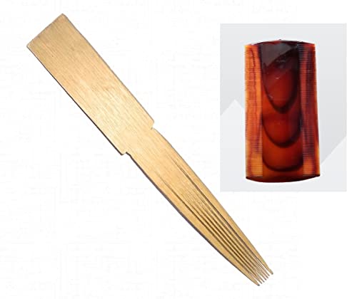 Fashions Wooden & Plastic Fine Tooth Dust Lice Remove Clean Hair Combs Eeroli Set Perfect For Lice Nits Eggs Bugs Removal From Hairs For Men Women Kids- (pack of 2)