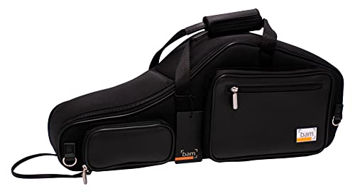 BAM! BAMTECH Musical Instrument Case (BTECH3001SN)
