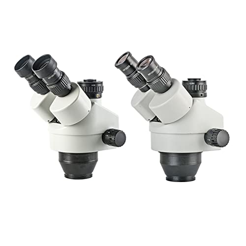 Adaptateur C-mount pour connecter caméra sur microscope trinoculaire CTV