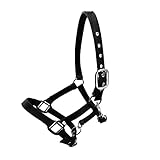 Coloré : ce licol pour cheval est disponible en différentes couleurs, vous pouvez donc choisir votre préféré