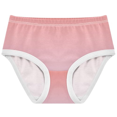 Joisal Toddlers Underwear Floral 2t Cotton Little Girl Panties Fun Print Underpants Briefs Coral Pink Pail Lilac Gradient
