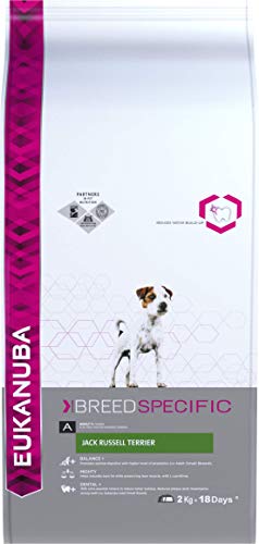 eukanuba adult breed specific jack russell terrier