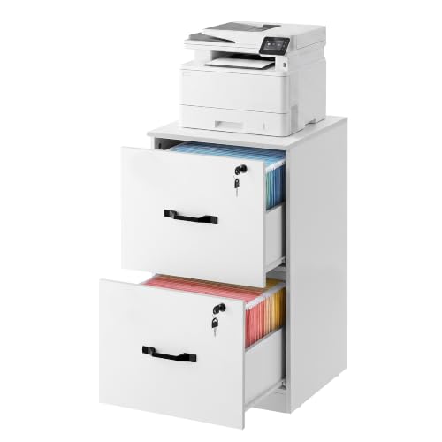 Image of VASAGLE 2 Drawer File Cabinet with Locks, for A4, Letter Sized Documents