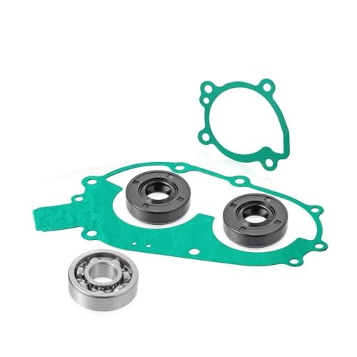 Kit de reconstruction d'eau et roulement 3086748 pour vos sorties en 400 400L - 3