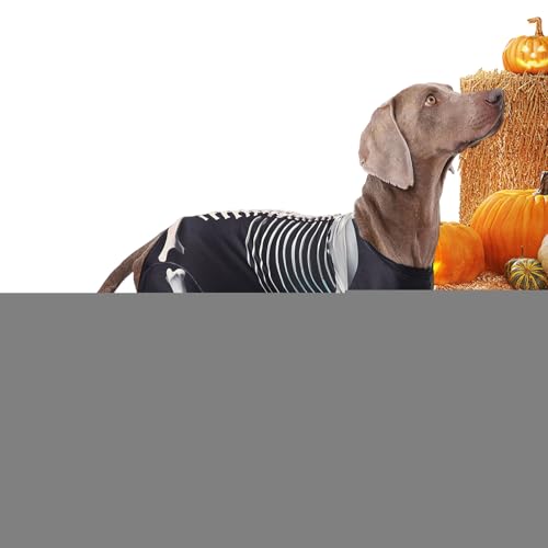 ^ ߑ - p XPg RX`[,ybg nEB EFA ^ {fBX[c O ł z[p[eB[ RXv  LOʐ^