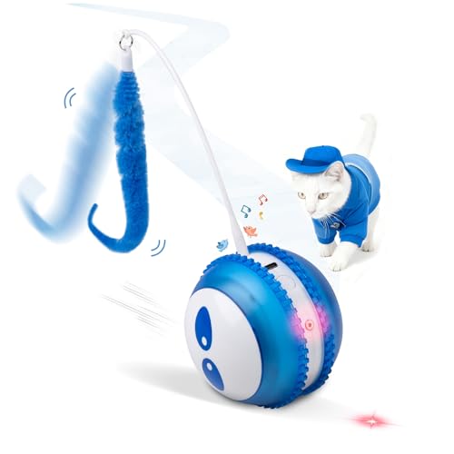 Pet Prime Interaktives Katzenspielzeug Ball mit Laserpointer Elektrish Katzen Laser Pointer Spielzeug und Katzenlaufrad