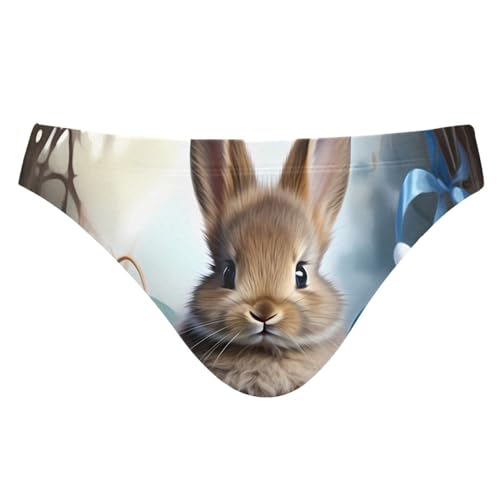 Mens Easter Bunny Rabbit Eggs Bikini Swimsuit Swimwear Swim Briefs for Men 21341546