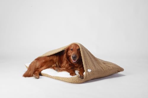 Hundeschlafsack mit Dach, Beruhigende Hundebett Hundehöhle, Winter Warm Plüsch Höhle mit Kapuze, Katzenbett mit Abnehmbaren Deckel, Hundesofa für Kleine und Mittelgroße Hunde(Beige,60x50x23cm)