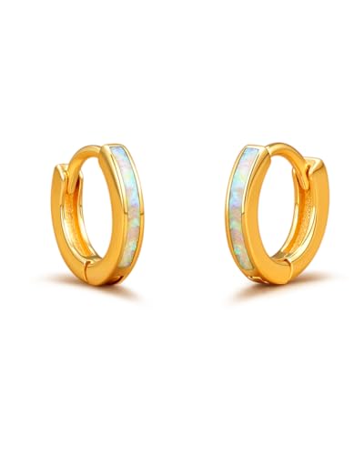 14K Gold Hoop Opal Earrings for Women,...