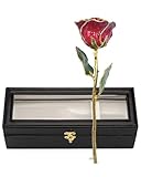 Forever Rose Hand-Dipped in 24K Gold, Ruby Red-Inspired July Birthstone with Sparkles, Real Rose in Leather Case with LED Light – Perfect Ready to Gift for July Birthday or Any Occasion