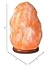 The Body Source Himalayan Salt Lamp 10-12 Inches (11-15lb) | Includes Dimmer Switch | Natural Salt Rock Lamp with Handcrafted Wooden Base & Night Light (Bulb Replacement)