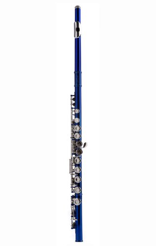 Hawk Wd-F113-Bl Closed Hole C Flute With Case, Blue #TOP30