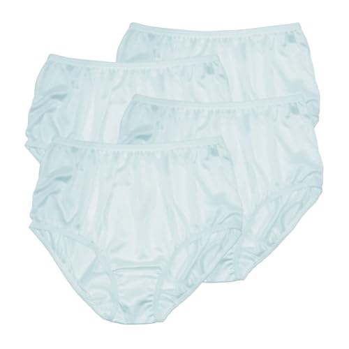 Image of Teri Women's 331 Plain Jane Classic Nylon Silky-Smooth Lightweight Breathable Full Coverage Brief Panty - 4 Pack