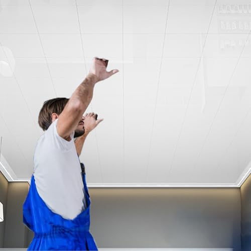 RENLXFI Dalle de Plafond Dalle De Plafond Lisse À Coller 30 X 30 Cm, Panneaux De Décoration D'intérieur Blancs pour Salon, Chambre, Cuisine, Lambris Et...