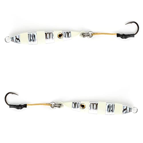 Palomar Fishing Flat Side 150g Ocean Jig Fast Vertical Deep Drop Lure | MUSTAD Hook-Owner Ring | Kevlar Assist Cord | 6-Pack | Next-Gen Graphene Paint | US Owned