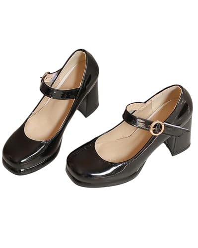 [TTYAO REII] pvX [^C  V[Y  n 傫TCY  ʋ ʊw  ZNV[ RXv Aj nn    Xgbv fB[X Snǂ jp (ubN, l, 22.5 cm