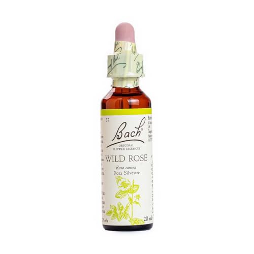 Bach - Flor de Bach Wild Rose, Complemento Alimenticio, con Extracto de Flores de Rosa Silvestre, Uva de Alc 27% Vol, Ayuda a Gestionar las Emociones Cuando Se Quiere Tener Más Motivación - 20 ml