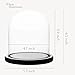 WHOLE HOUSEWARES | Decorative Clear Glass Dome | Cloche Glass Dome for DIY Snow Globes | Tabletop Centerpiece | Cloche Bell Jar Display Case | Black MDF Base, 5.9