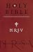 NRSV Bible