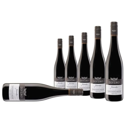 DIVINO JUVENTA Rotwein Spätburgunder trocken (0,75 l) - Frankens Feine Weine