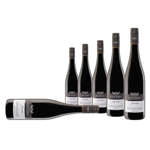 DIVINO JUVENTA Rotwein Spätburgunder trocken (0,75 l) - Frankens Feine Weine