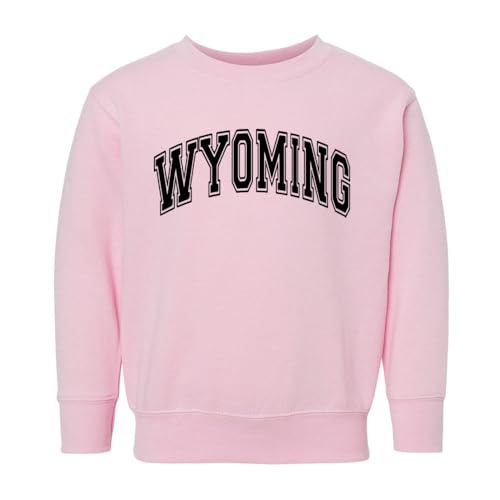Arch Wyoming Kids Sweatshirt Toddler 4T Pink