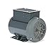 Marathon T019 56H Frame Totally Enclosed Fan Cooled 56B34F5333 Woodworking/Power Tool Motor, 2 hp, 3600 RPM, 115/230 VAC, 1 Phase, 1 Speed, Ball Bearing, Rigid Base, Capacitor Start