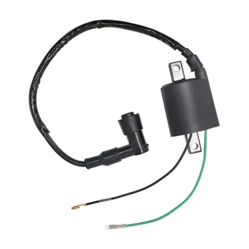 HYQHYX Bobina Encendido Bobinas Encendido para CB125S para CL125S para SL125 CB100 para CL100 para SL100 para XL100 Bobina De Encendido Motocicleta Bobina Encendido Bujía 30400-107-007