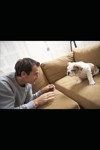 Entrenamiento canino desde cachorros hasta adultos