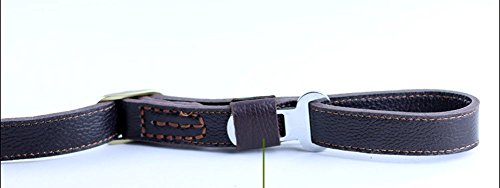 Covink® Dual-Purpose mano guinzaglio del cane di