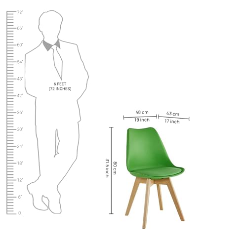 Image of Creative Scandinavian Ergonomic Green Resin Chair, Dining, Kitchen, Waiting Room, Cafe, Leaving Room, Upholstered, Modern Back, Armless, Indoor, Hard Floor, Carpet. | (Pack of 1)