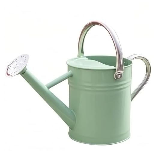 yourjoy Metal Watering Can, One Gallon Watering Cans Stainless Steel for Outdoor Indoor Garden Plants Watering (Cream Green)