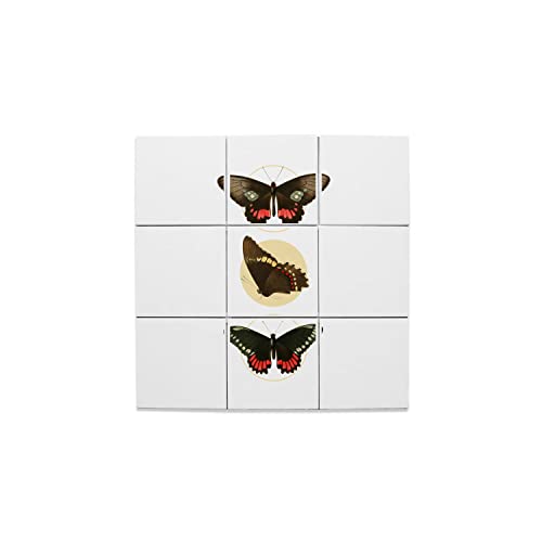 Carreaux céramique pour embellir un mur blanc terne 32,4x32,4 cm