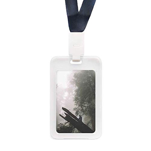 Porte-carte de crédit transparent paysage naturel pour vos sorties en forêt