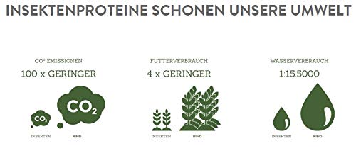 Pets Deli Green Vegan Hunde Nassfutter Lupinen & Süßkartoffel, pflanzliches Protein, glutenfrei, ohne Zucker, 6x375 g, Premium Qualität